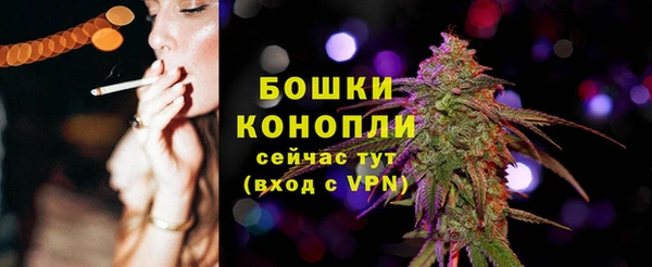 ешки Арсеньев