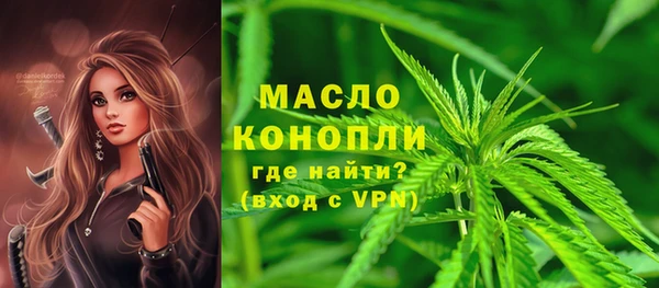 сатива Осташков