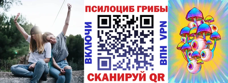 Псилоцибиновые грибы Psilocybe  наркота  Углегорск 
